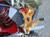 dsc01666